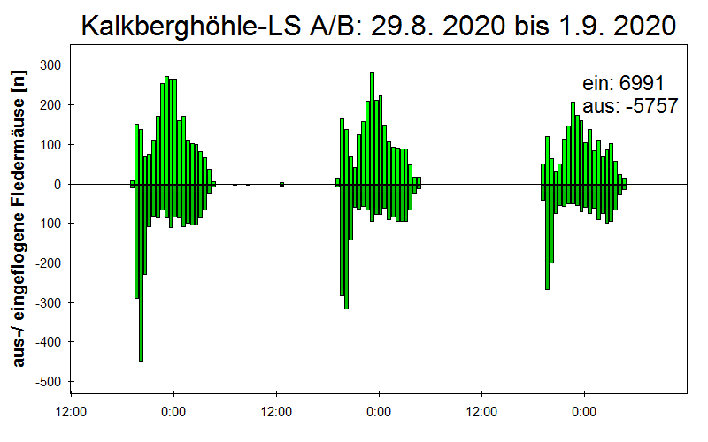 [Fledermaus] Lichtschranke: Segeberger Kalkberg (NABU Schleswig-Holstein)
