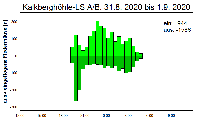 [Fledermaus] Lichtschranke: Segeberger Kalkberg (NABU Schleswig-Holstein)