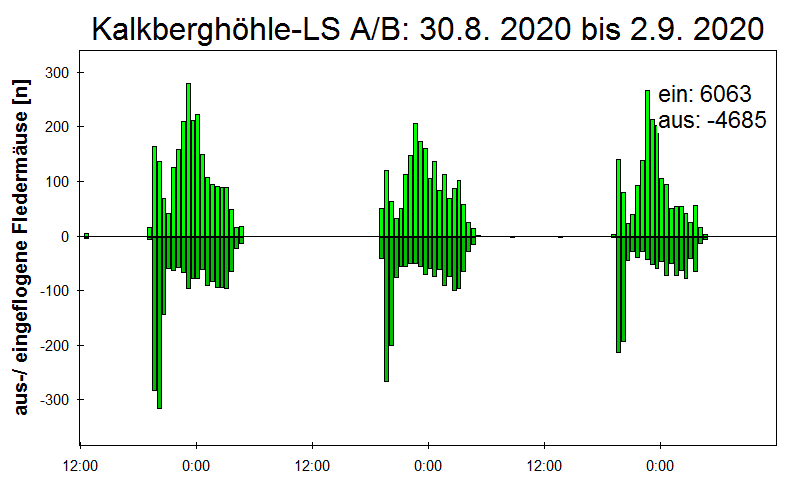 [Fledermaus] Lichtschranke: Segeberger Kalkberg (NABU Schleswig-Holstein)
