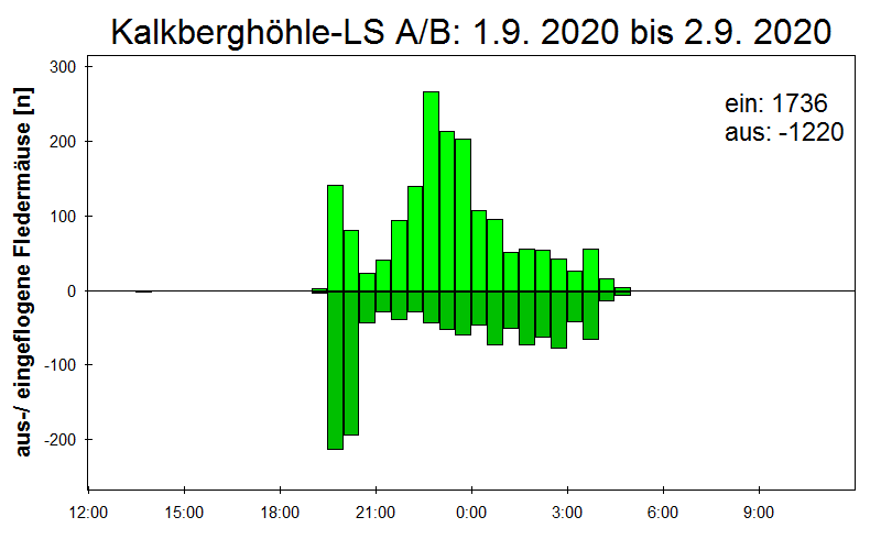 [Fledermaus] Lichtschranke: Segeberger Kalkberg (NABU Schleswig-Holstein)