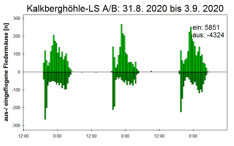 [Fledermaus] Lichtschranke: Segeberger Kalkberg (NABU Schleswig-Holstein)