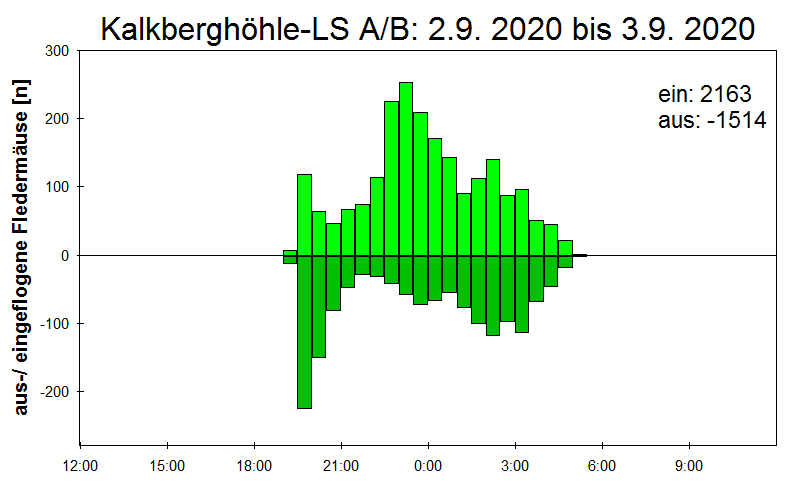 [Fledermaus] Lichtschranke: Segeberger Kalkberg (NABU Schleswig-Holstein)