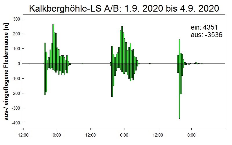 [Fledermaus] Lichtschranke: Segeberger Kalkberg (NABU Schleswig-Holstein)