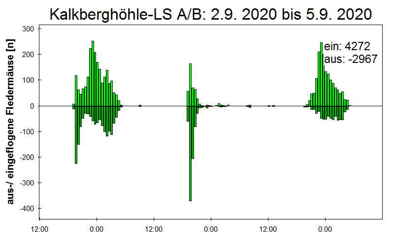 [Fledermaus] Lichtschranke: Segeberger Kalkberg (NABU Schleswig-Holstein)