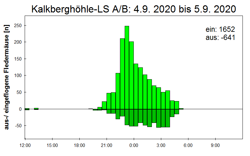 [Fledermaus] Lichtschranke: Segeberger Kalkberg (NABU Schleswig-Holstein)