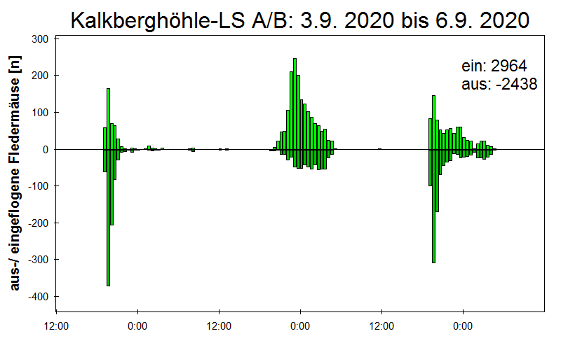 [Fledermaus] Lichtschranke: Segeberger Kalkberg (NABU Schleswig-Holstein)