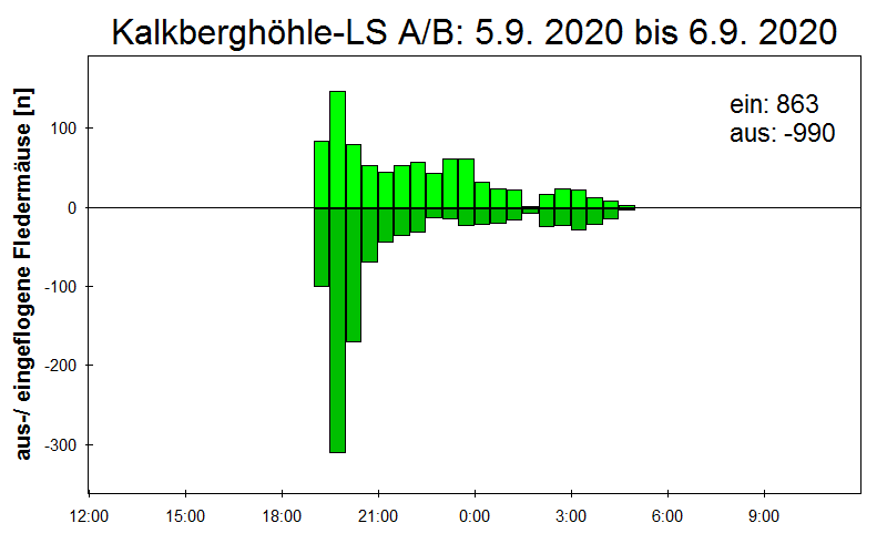 [Fledermaus] Lichtschranke: Segeberger Kalkberg (NABU Schleswig-Holstein)