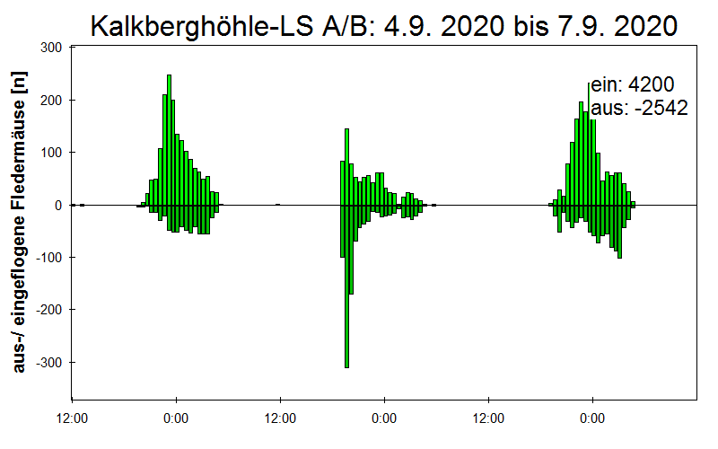 [Fledermaus] Lichtschranke: Segeberger Kalkberg (NABU Schleswig-Holstein)