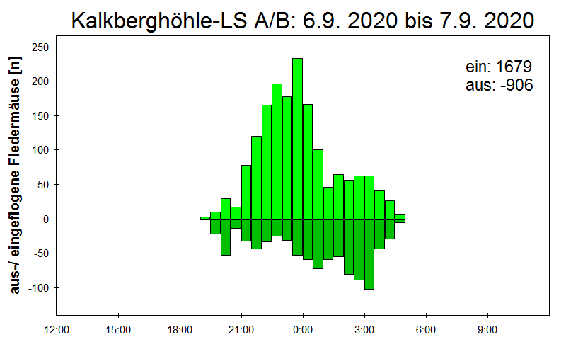 [Fledermaus] Lichtschranke: Segeberger Kalkberg (NABU Schleswig-Holstein)