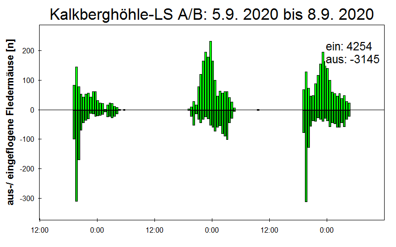 [Fledermaus] Lichtschranke: Segeberger Kalkberg (NABU Schleswig-Holstein)