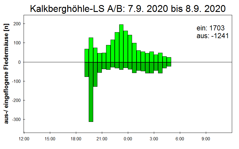 [Fledermaus] Lichtschranke: Segeberger Kalkberg (NABU Schleswig-Holstein)