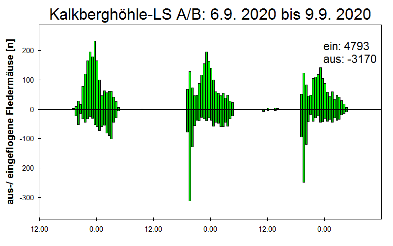 [Fledermaus] Lichtschranke: Segeberger Kalkberg (NABU Schleswig-Holstein)