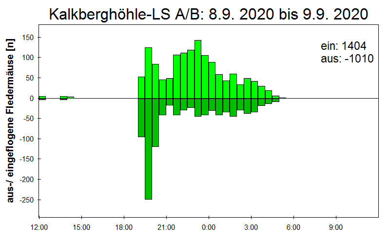 [Fledermaus] Lichtschranke: Segeberger Kalkberg (NABU Schleswig-Holstein)
