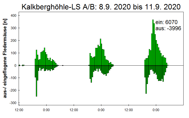 [Fledermaus] Lichtschranke: Segeberger Kalkberg (NABU Schleswig-Holstein)