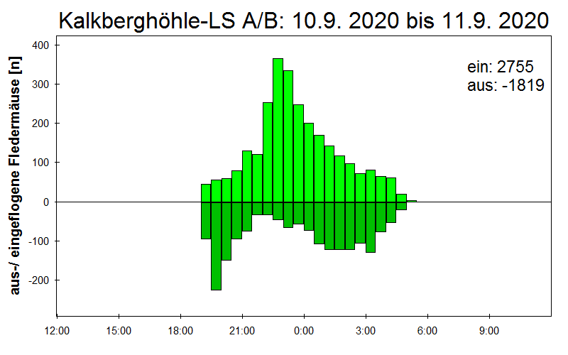 [Fledermaus] Lichtschranke: Segeberger Kalkberg (NABU Schleswig-Holstein)