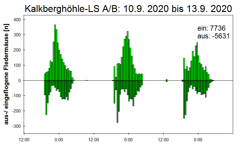 [Fledermaus] Lichtschranke: Segeberger Kalkberg (NABU Schleswig-Holstein)