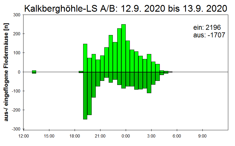 [Fledermaus] Lichtschranke: Segeberger Kalkberg (NABU Schleswig-Holstein)