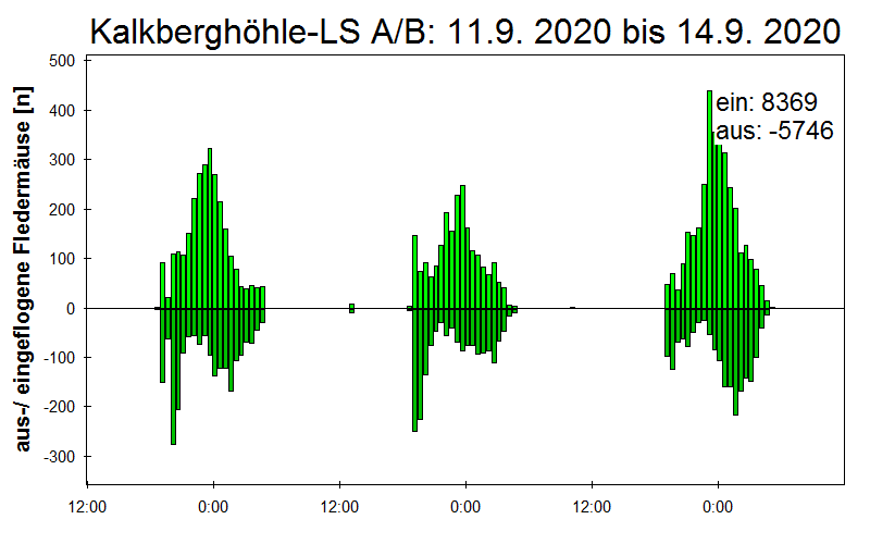 [Fledermaus] Lichtschranke: Segeberger Kalkberg (NABU Schleswig-Holstein)
