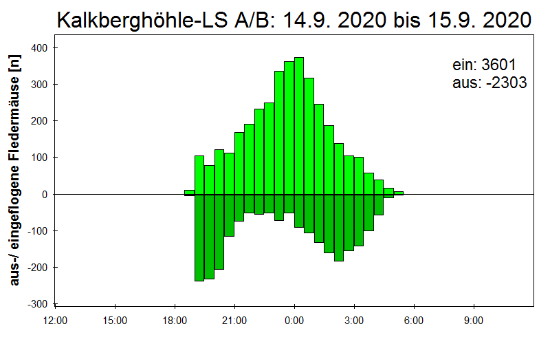 [Fledermaus] Lichtschranke: Segeberger Kalkberg (NABU Schleswig-Holstein)