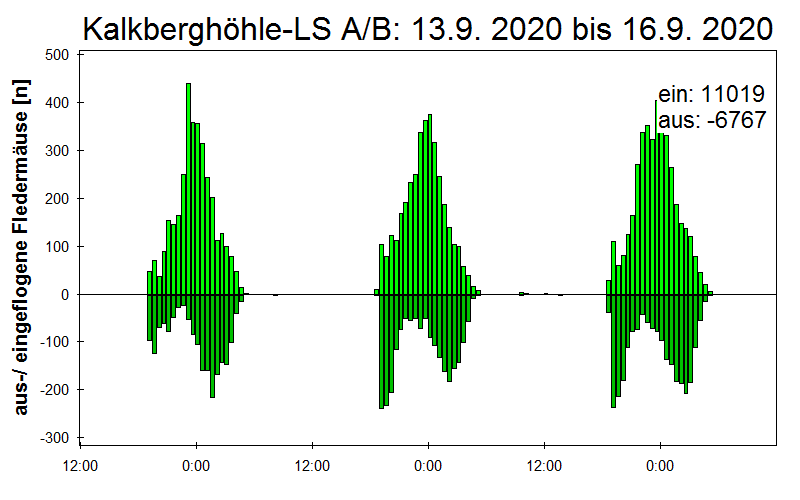 [Fledermaus] Lichtschranke: Segeberger Kalkberg (NABU Schleswig-Holstein)