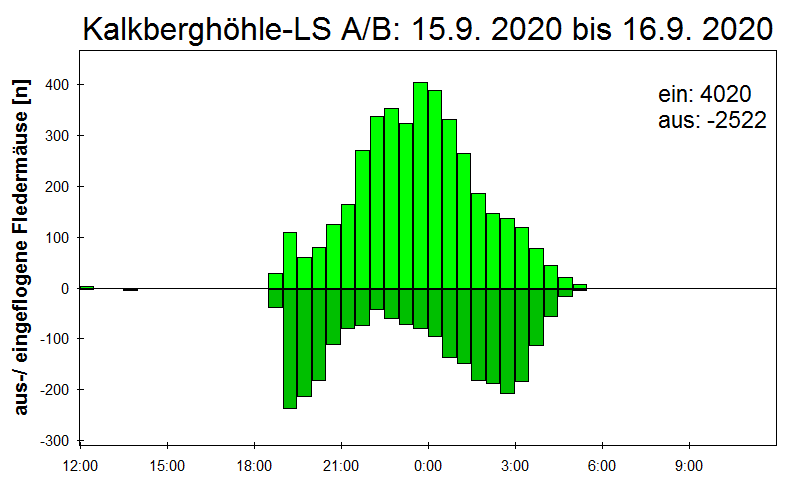 [Fledermaus] Lichtschranke: Segeberger Kalkberg (NABU Schleswig-Holstein)