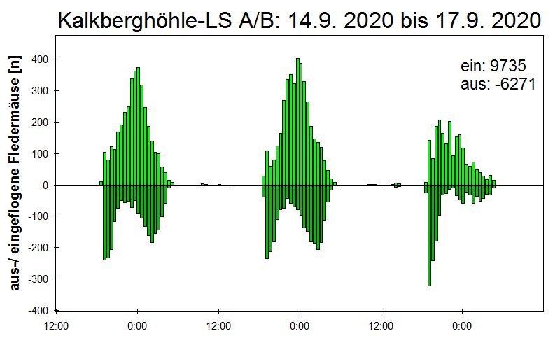[Fledermaus] Lichtschranke: Segeberger Kalkberg (NABU Schleswig-Holstein)