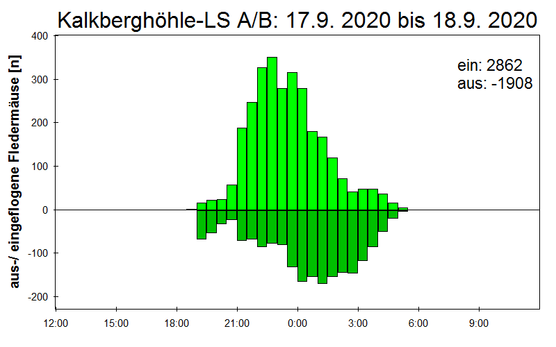 [Fledermaus] Lichtschranke: Segeberger Kalkberg (NABU Schleswig-Holstein)