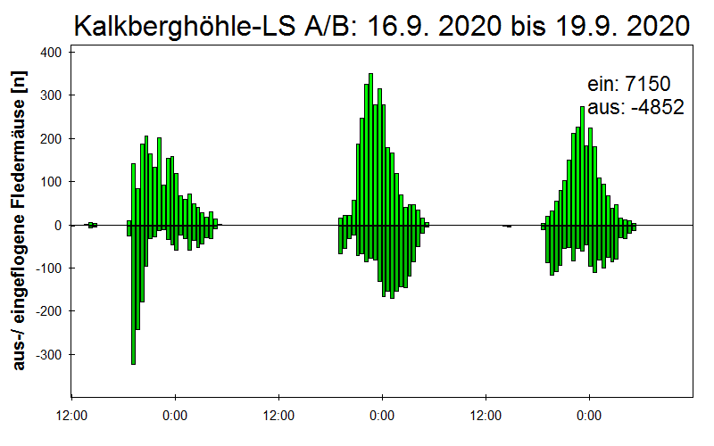 [Fledermaus] Lichtschranke: Segeberger Kalkberg (NABU Schleswig-Holstein)