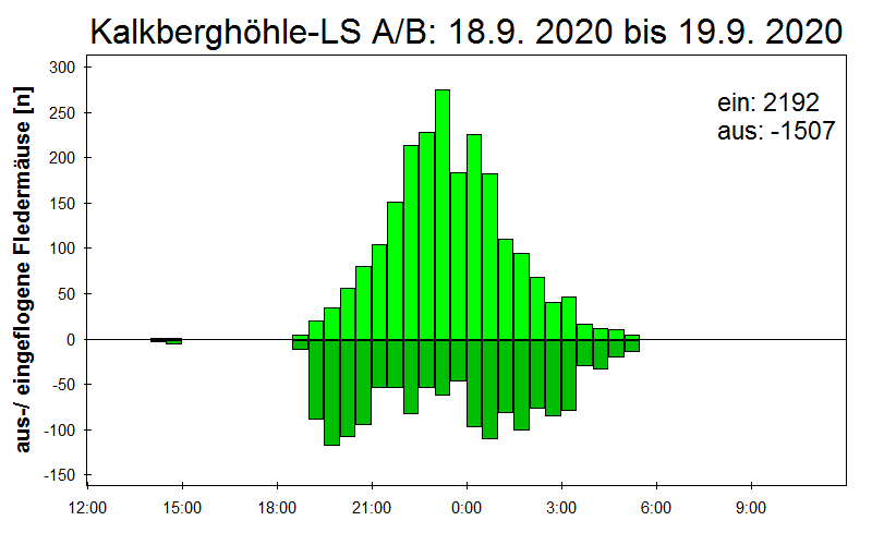 [Fledermaus] Lichtschranke: Segeberger Kalkberg (NABU Schleswig-Holstein)