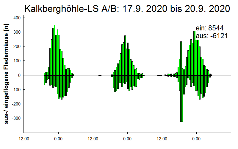[Fledermaus] Lichtschranke: Segeberger Kalkberg (NABU Schleswig-Holstein)