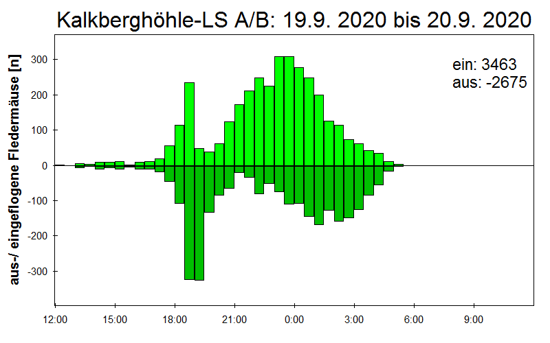 [Fledermaus] Lichtschranke: Segeberger Kalkberg (NABU Schleswig-Holstein)