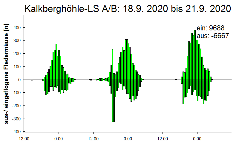 [Fledermaus] Lichtschranke: Segeberger Kalkberg (NABU Schleswig-Holstein)