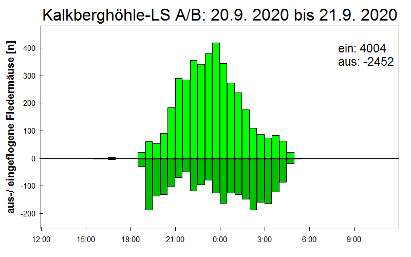 [Fledermaus] Lichtschranke: Segeberger Kalkberg (NABU Schleswig-Holstein)