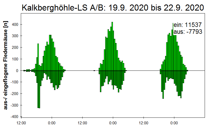 [Fledermaus] Lichtschranke: Segeberger Kalkberg (NABU Schleswig-Holstein)