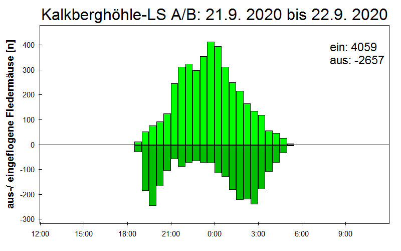 [Fledermaus] Lichtschranke: Segeberger Kalkberg (NABU Schleswig-Holstein)