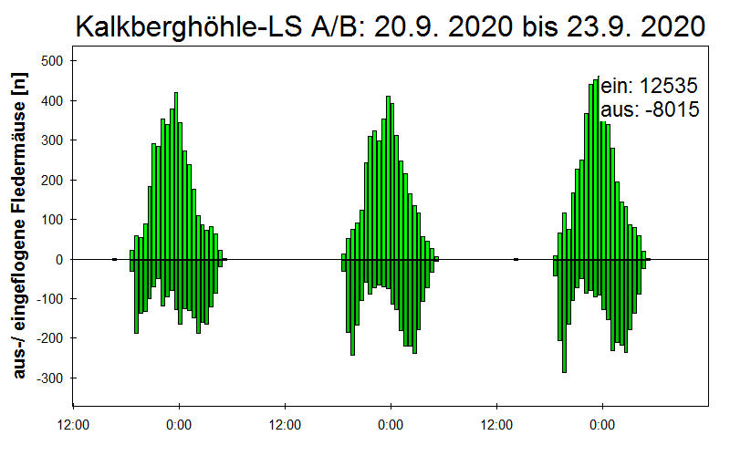 [Fledermaus] Lichtschranke: Segeberger Kalkberg (NABU Schleswig-Holstein)