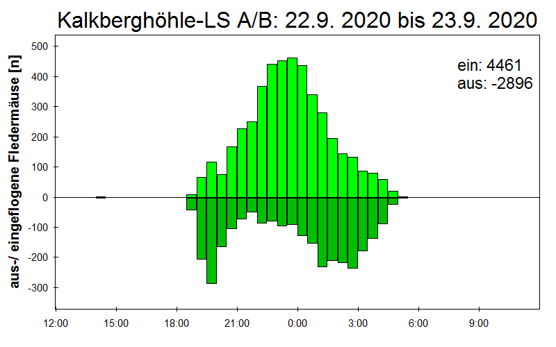 [Fledermaus] Lichtschranke: Segeberger Kalkberg (NABU Schleswig-Holstein)