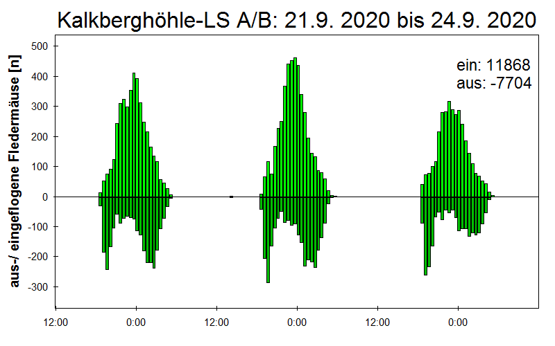 [Fledermaus] Lichtschranke: Segeberger Kalkberg (NABU Schleswig-Holstein)