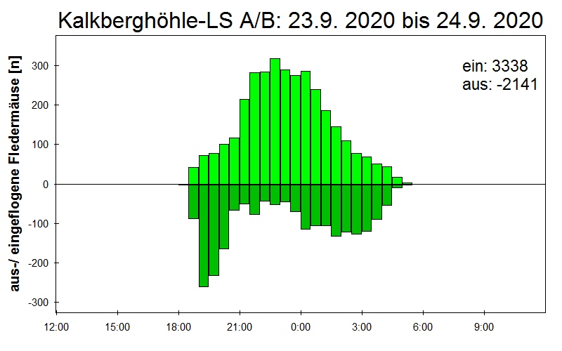 [Fledermaus] Lichtschranke: Segeberger Kalkberg (NABU Schleswig-Holstein)