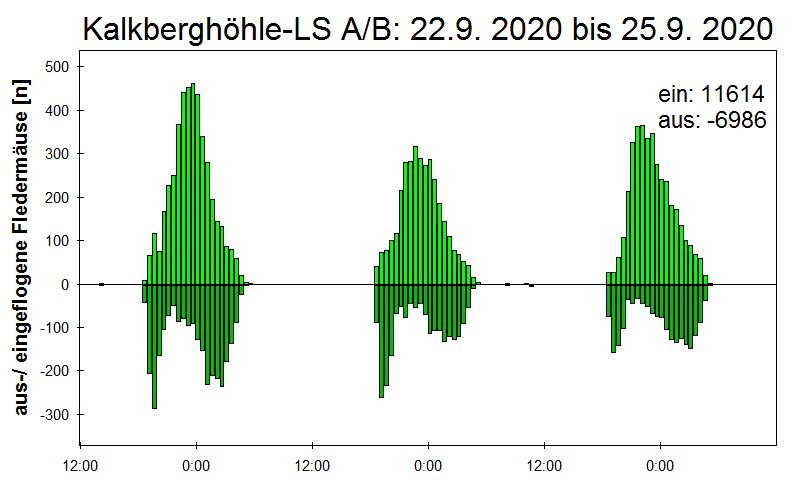 [Fledermaus] Lichtschranke: Segeberger Kalkberg (NABU Schleswig-Holstein)