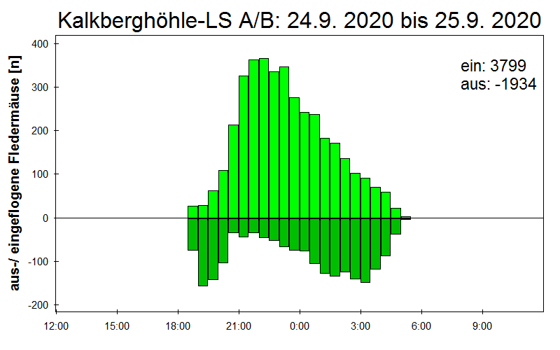 [Fledermaus] Lichtschranke: Segeberger Kalkberg (NABU Schleswig-Holstein)