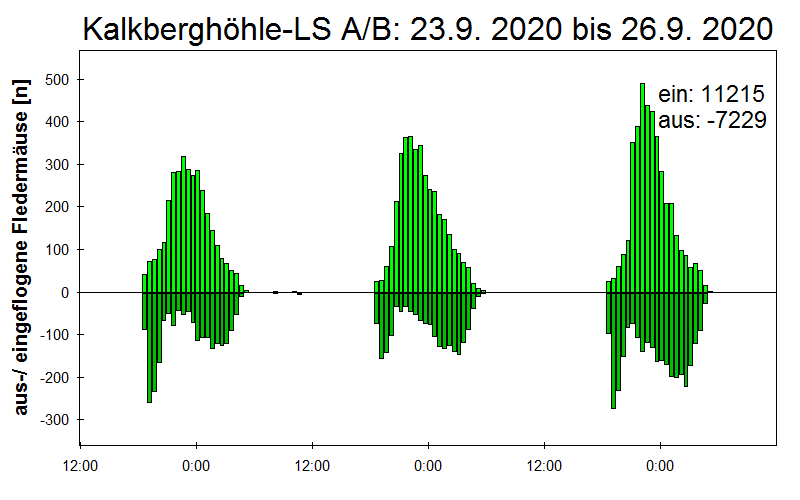 [Fledermaus] Lichtschranke: Segeberger Kalkberg (NABU Schleswig-Holstein)