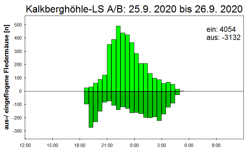 [Fledermaus] Lichtschranke: Segeberger Kalkberg (NABU Schleswig-Holstein)