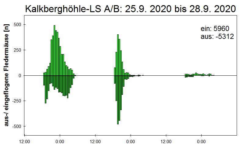 [Fledermaus] Lichtschranke: Segeberger Kalkberg (NABU Schleswig-Holstein)
