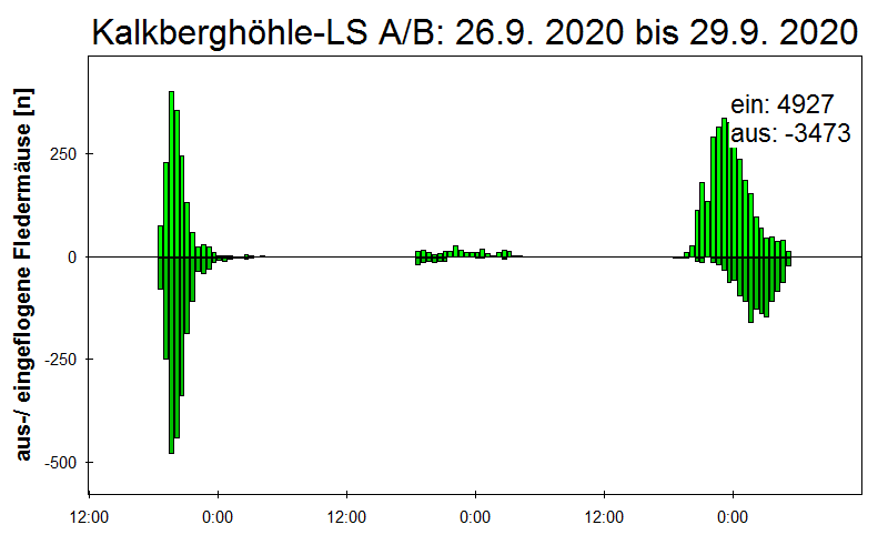[Fledermaus] Lichtschranke: Segeberger Kalkberg (NABU Schleswig-Holstein)