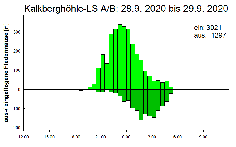 [Fledermaus] Lichtschranke: Segeberger Kalkberg (NABU Schleswig-Holstein)