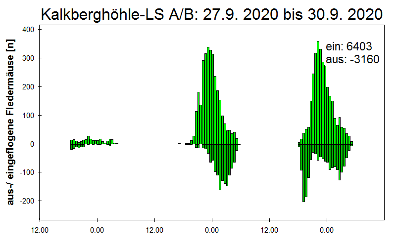 [Fledermaus] Lichtschranke: Segeberger Kalkberg (NABU Schleswig-Holstein)