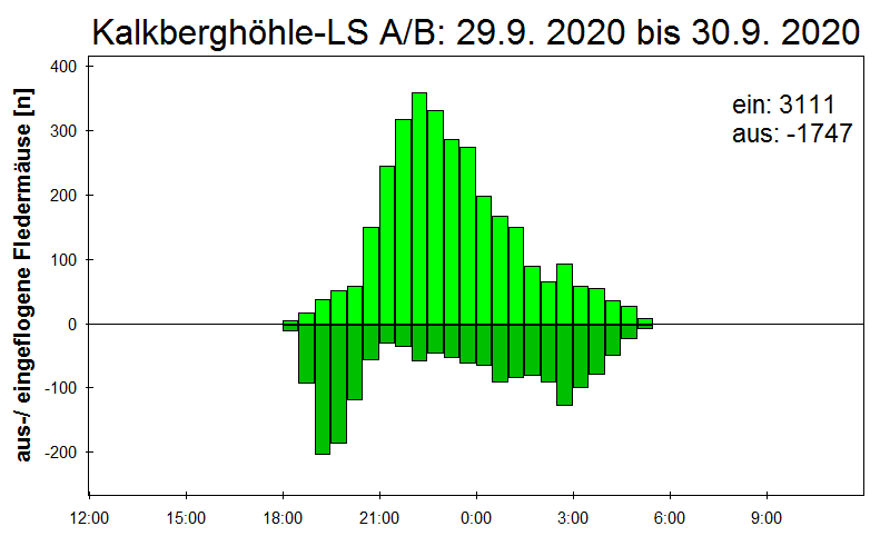 [Fledermaus] Lichtschranke: Segeberger Kalkberg (NABU Schleswig-Holstein)