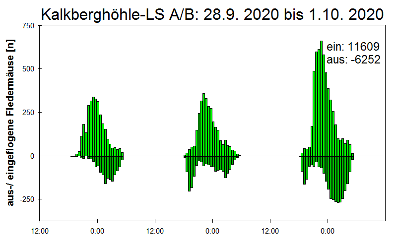 [Fledermaus] Lichtschranke: Segeberger Kalkberg (NABU Schleswig-Holstein)
