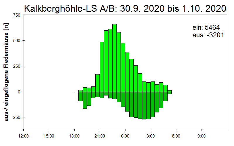 [Fledermaus] Lichtschranke: Segeberger Kalkberg (NABU Schleswig-Holstein)